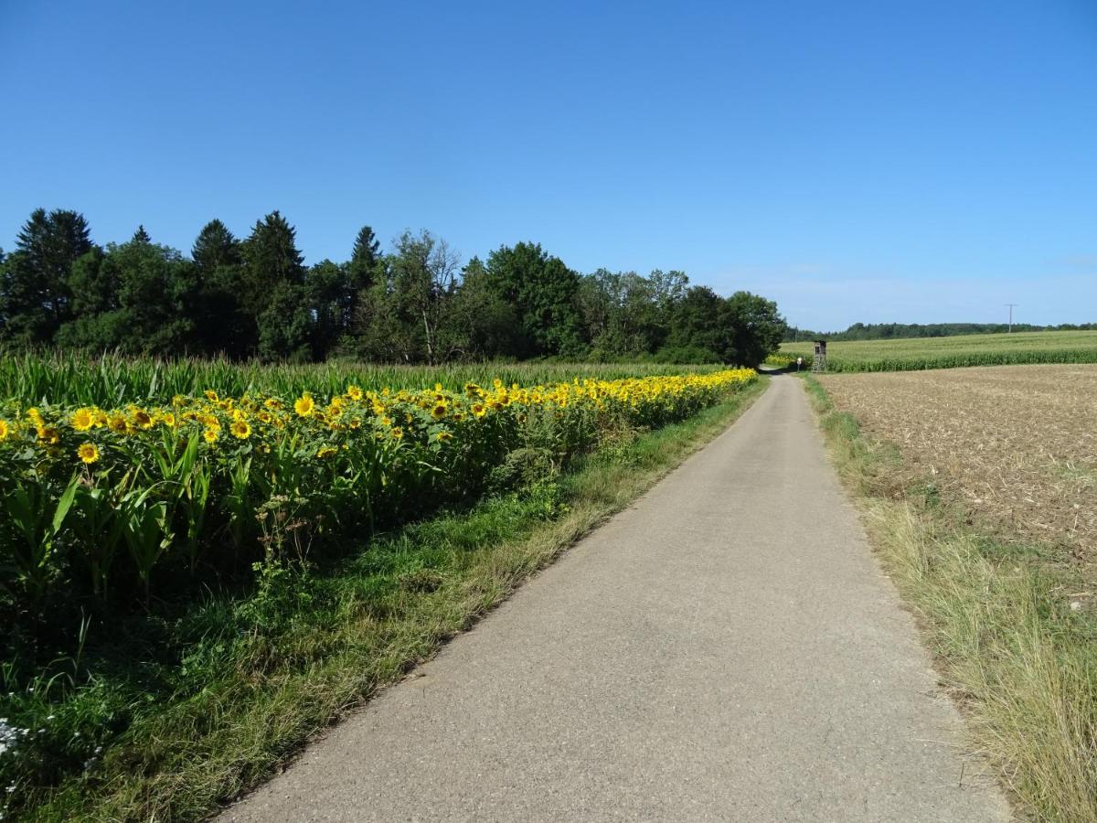 Turm Im Blick Leilighet Dietingen Eksteriør bilde