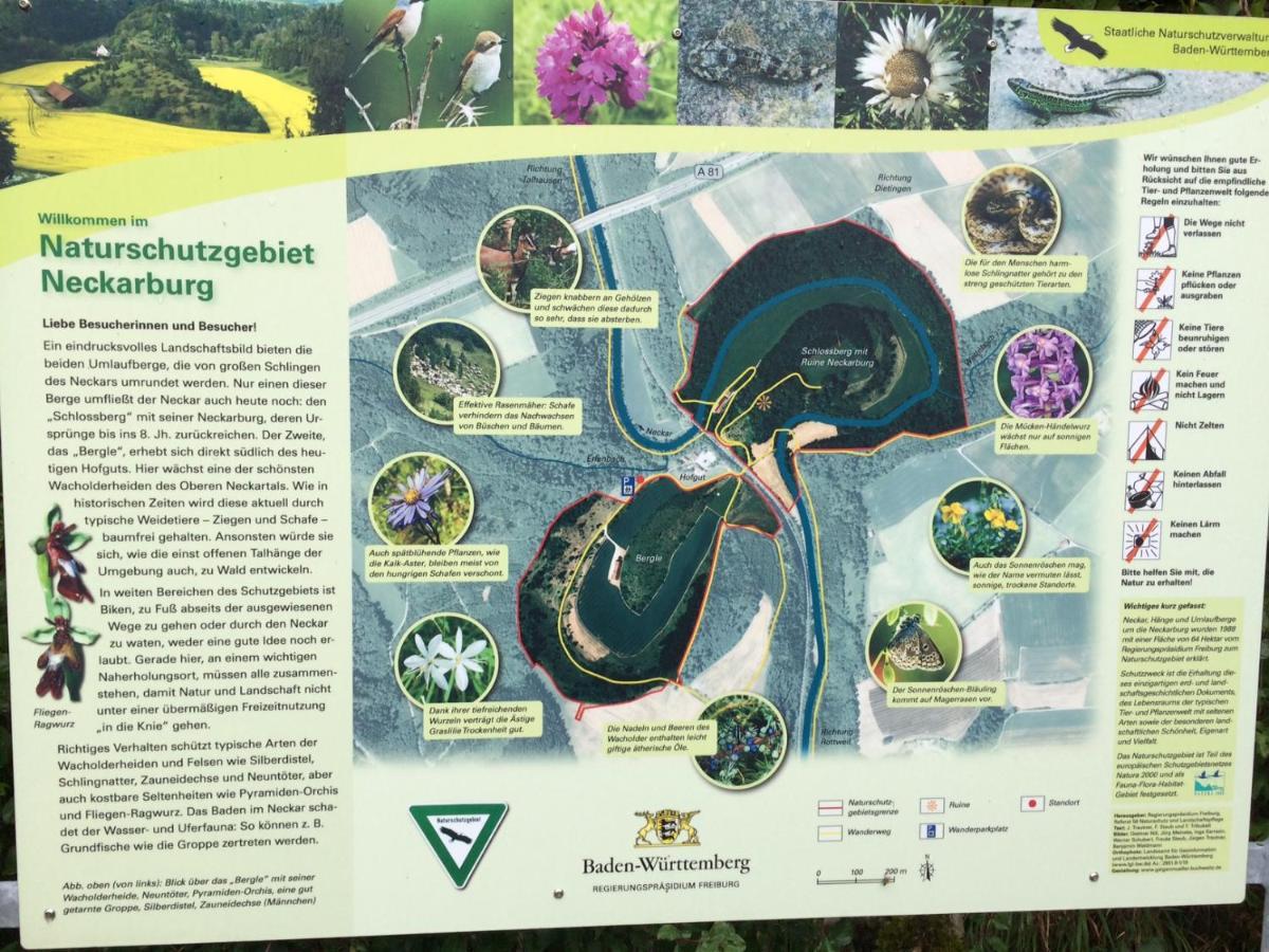 Turm Im Blick Leilighet Dietingen Eksteriør bilde